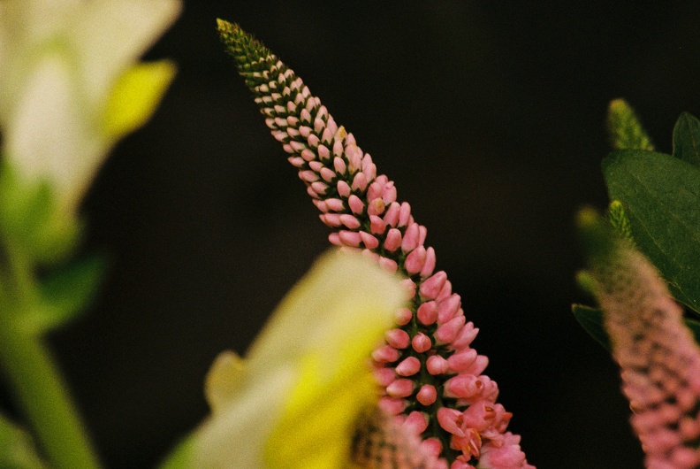 2667 032724 1-32.jpg