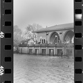  DSC5990