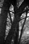  DSC6086