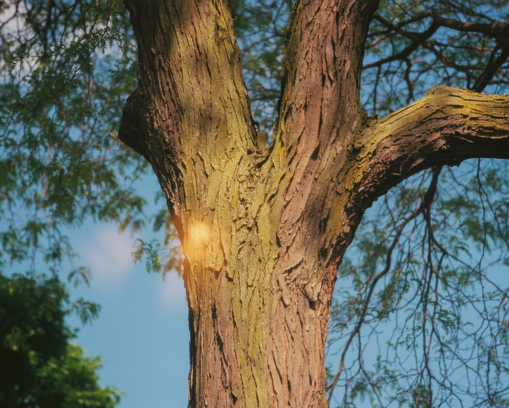 3558 062424 5-001.jpg